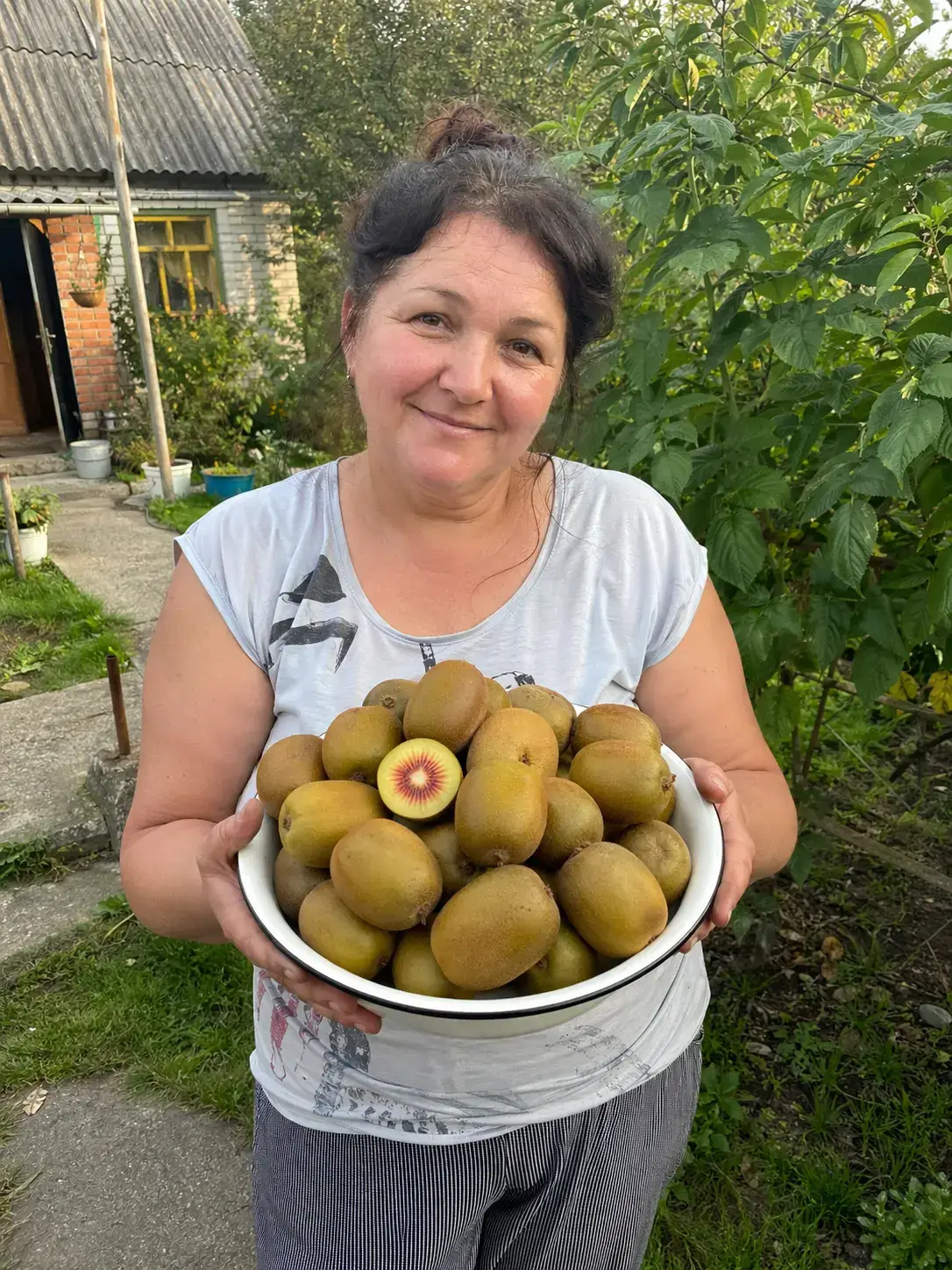 Фото від клієнта — ківі Золотий Рубін